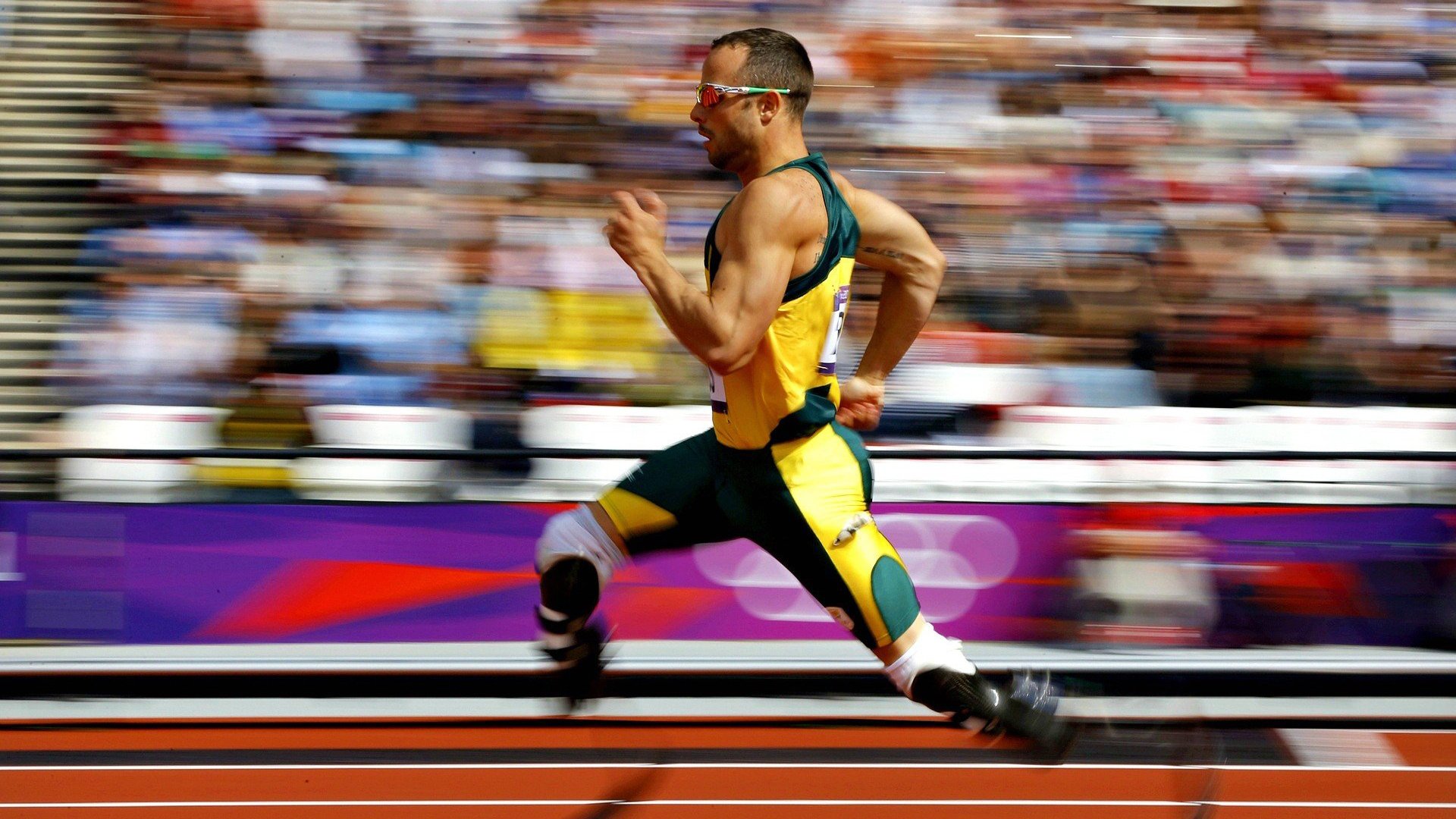 史上最绚丽“冠军夜”：拼搏的荣耀时刻，冠军hqmg